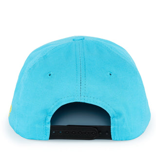 Sky Blue Flat Bill Snapback W/ Pear Bird - Effing Gear